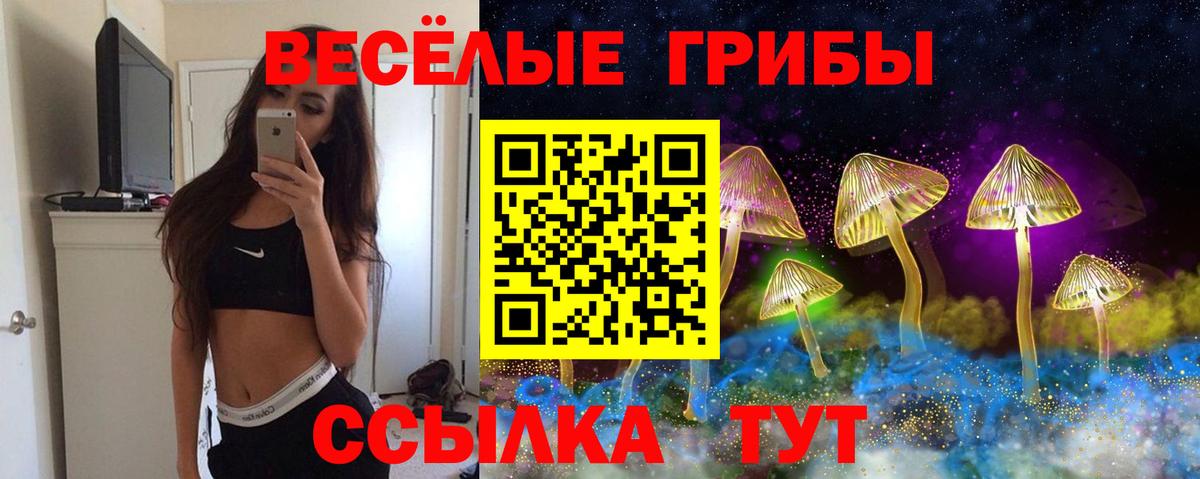 Галлюциногенные грибы прущие грибы Калуга